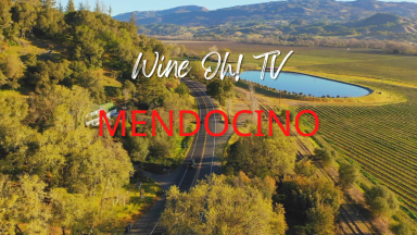 A Taste of Mendocino County Wine Country