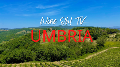 Uncovering Umbria: Italy’s Undiscovered Wine Region