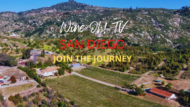 San Diego's Hidden Wine Country: Stories They Forgot to Tell You