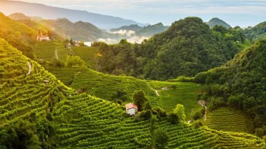 The Ultimate Guide to Understanding Prosecco Superiore DOCG (VIDEO)