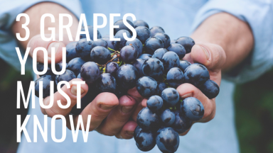 Master Sommelier Reveals 3 Wine Grapes You Must Know (VIDEO)