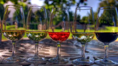 11 Vegan Wine Picks + Plant Based Wine Pairings