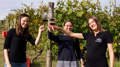 Post-Pandemic Travel to Piedmont? Yes, Please!