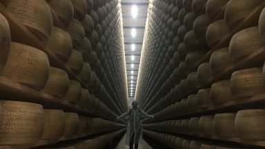Savoring Italy’s Most Cherished Cheese