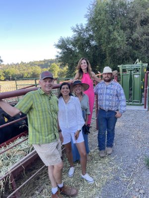 Uncover the Hidden Gems of Healdsburg: Sonoma County Wine Country