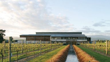 2019 Villa Maria First Sip of Fall Tweetup